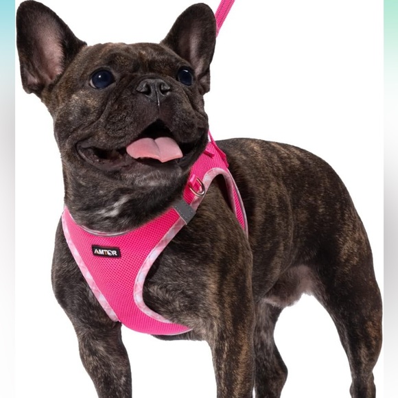 Dog harness size M - Picture 1 of 4